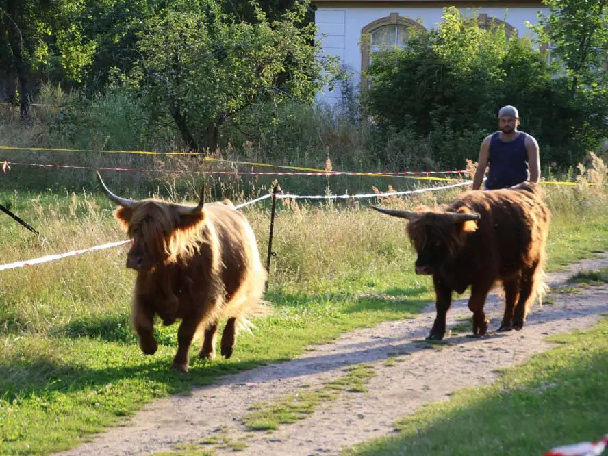 Helga & Hugo auf dem Weg zur Burg