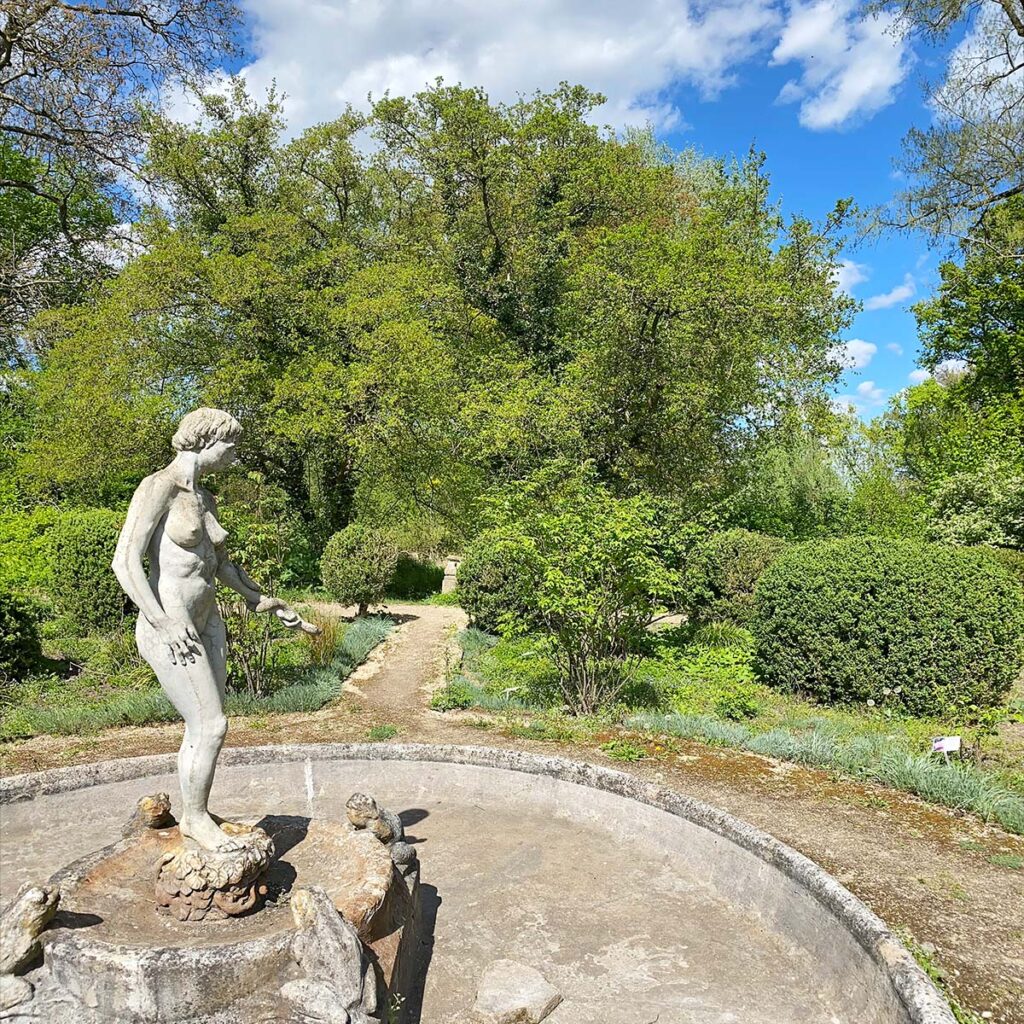 Kornelkirschenbäume im Rosengarten
